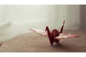 利川景点哪个最好玩（利川必玩景点）