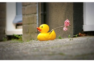 泰山冬季旅游（泰山冬季旅游的最佳季节是什么时候?）