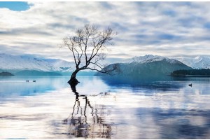 高铁与动车有何不同（高铁与动车的不同）