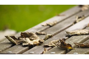 凭祥好玩的地方