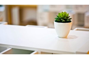 莆田度假旅游景点（莆田度假旅游景点介绍）