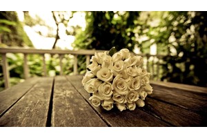 杜氏旅游必去景点（杜氏旅游好玩吗）