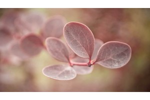 广东冬天天气（广东冬天天气干燥还是潮湿）