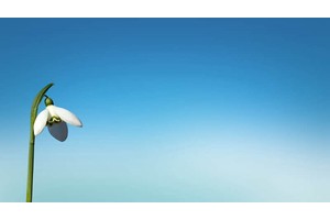 亲子上海旅游攻略（亲子旅游上海推荐地点）