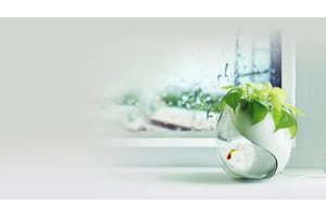 普洱思茅旅游攻略必去景点（普洱思茅哪里好玩的景点）