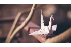 迪士尼卢米亚厨房（迪士尼卢米亚厨房攻略）