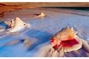 宣州区天气（宣州区天气预报30天准确）