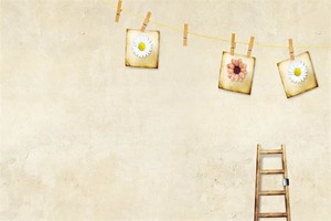 洪湖景点旅游攻略夏天开放（洪湖旅游攻略必去景点）