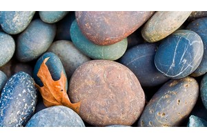 惠安白沙旅游攻略景点（惠安白沙村）