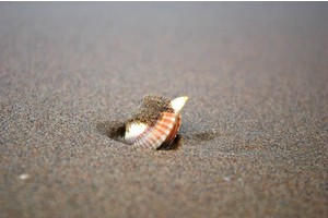 自由行三亚旅游攻略（自由行三亚旅游攻略大全）