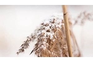 赤水葫市天气（赤水葫芦镇天气）