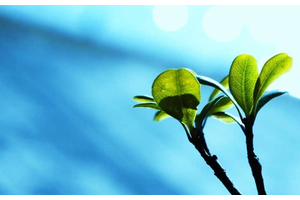 泰山在哪里哪个城市