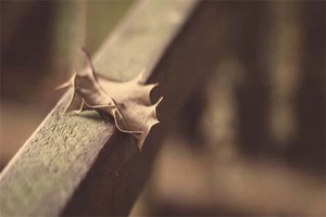 东部旅游攻略必去景点推荐（东部好玩的地方）