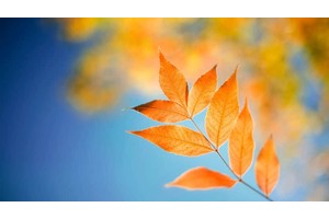 带小孩自助游北京（北京攻略自助游带孩子）