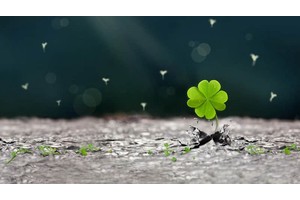 江门景点旅游必去景点（江门景点推荐）