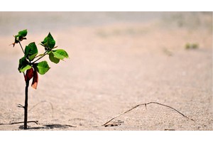 重庆必去景点最佳旅游路线（重庆旅游必去景点推荐）