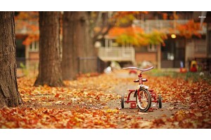 青岛站旅游攻略必去景点（青岛站旅游攻略必去景点有哪些）