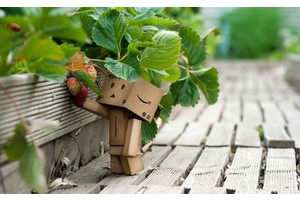 厦门景点攻略旅游路线地图（厦门景点顺序路线图）