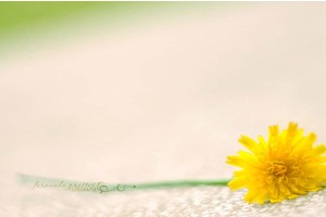 河南省自驾游必去12景（河南自驾景点）