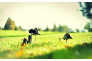 华山多高爬多长时间（华山多高爬多长时间能爬完）