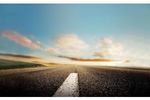 包公园荷花（包公园荷花图片）