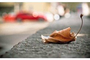 安徽黄山名宿（黄山最好的名宿）