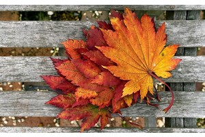 日照赶海旅游度假（日照赶海景点）