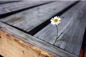 长岛的景点有哪些（长岛的景点有哪些图片）