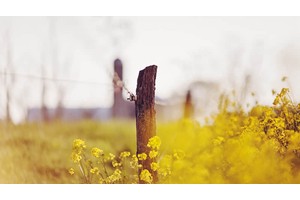 北方旅游景点拍照攻略（北方旅游景点排行）