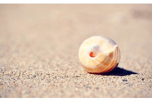 新疆旅游攻略必去景点清单（新疆旅游攻略必玩的景点）