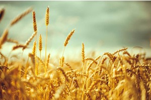 广西108个景区免费开放（广西108个景区免费开放的地方）