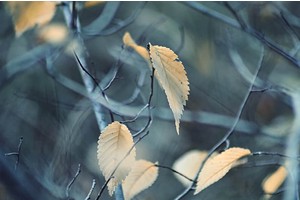 茂名旅游攻略打卡景点推荐