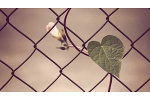 江西冬天自驾旅游必去景点（江西适合冬天旅游景点）