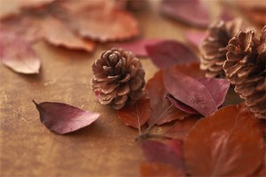 浙江横店拍照攻略旅游景点（横店拍照示范大全）