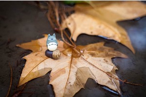 无锡十八湾旅游度假区（无锡十八湾旅游度假区地址）