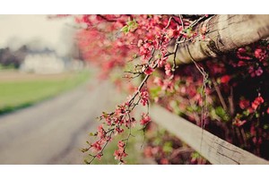 兵马俑规模（兵马俑规模宏大）