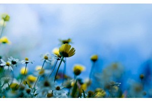 洛阳旅游攻略必去景点推荐（洛阳旅游攻略必玩的景点）