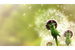 旅游度假区属于哪个区管（旅游度假区归哪个部门管）