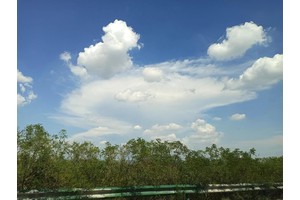 高州度假旅游村美食推荐（高州旅游胜地）