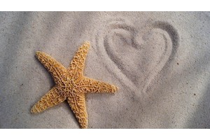 兰卡威旅游景点攻略（兰卡威攻略自助游）