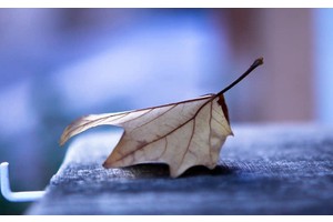 情侣一生必去的旅游（情侣常去的旅游景点）