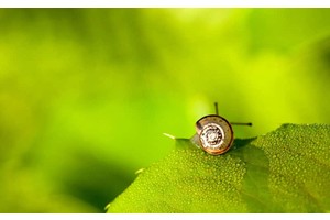 邵阳旅游必去景点大全图片（邵阳旅游必去景点大全图片介绍）