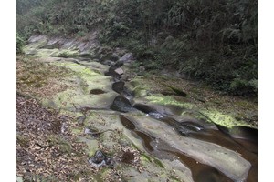 揭阳市天气预报（揭阳市天气预报30天）