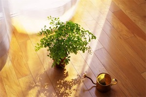 北京环球影城有哈利波特（北京哈利波特环球影城门票价格）