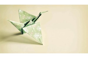 贵州五一旅游必去景点（贵州五一旅游最佳去处）