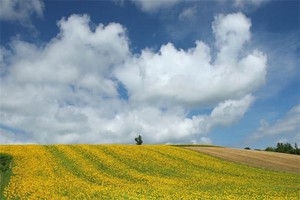 长廊旅游度假区有哪些（长廊旅游度假区有哪些好玩的）