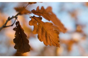 情侣必去旅游城市（情侣必去旅游胜地）