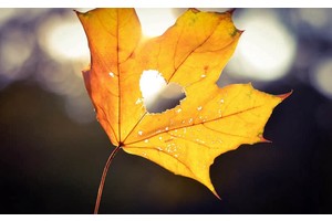 到洛阳机场有哪些公交车（到洛阳机场有哪些公交车可以坐）