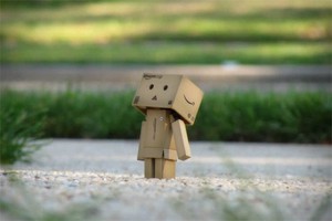 到翠湖公园怎么走（到翠湖公园怎么走最方便）