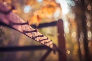 宝鸡市眉县天气（宝鸡市眉县天气预报15天）